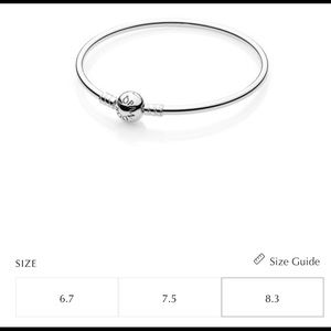 Pandora bangle